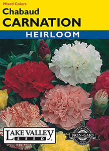 CARNATION CHABAUD MIXED COLORS  HEIRLOOM