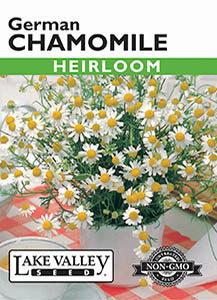 CHAMOMILE GERMAN   HEIRLOOM