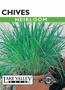 CHIVES  HEIRLOOM