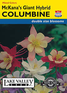 COLUMBINE MCKANA'S GIANT MIXED COLORS  HEIRLOOM