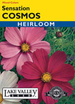 COSMOS SENSATION MIXED COLORS  HEIRLOOM