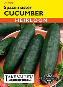 CUCUMBER SPACEMASTER  HEIRLOOM