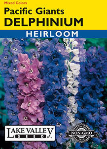 DELPHINIUM PACIFIC GIANTS MIXED COLORS  HEIRLOOM