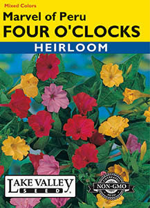 FOUR O'CLOCKS MARVEL OF PERU MIXED COLORS  HEIRLOOM