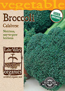 ORGANIC BROCCOLI CALABRESE  HEIRLOOM