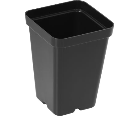 Black 2.5" Square Pot