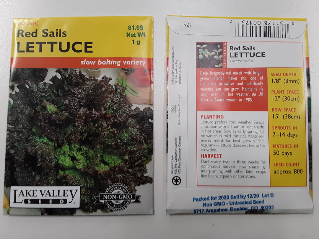 LETTUCE RED SAILS