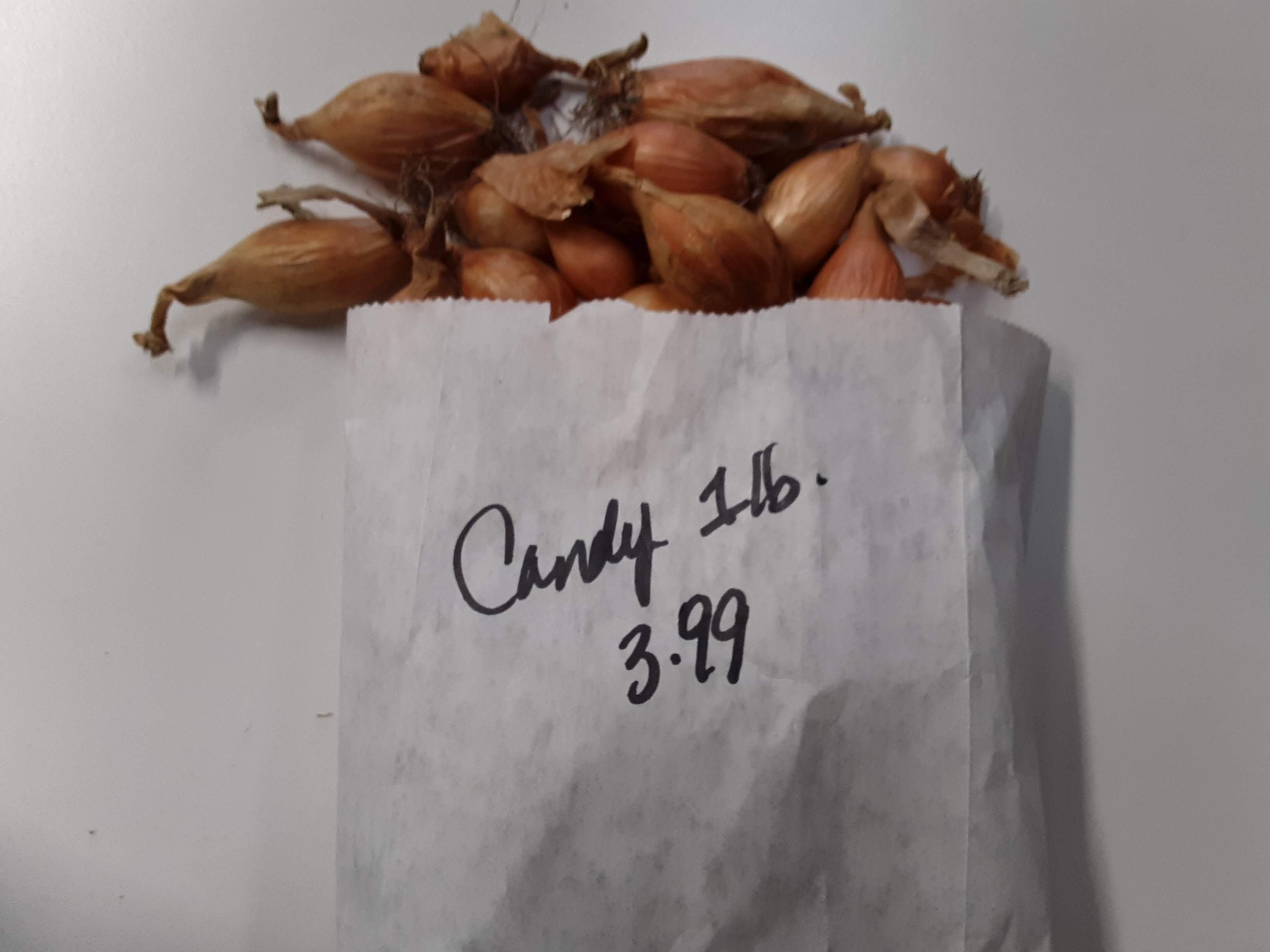 Onion Sets - Candy - 1lb.