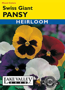 PANSY SWISS GIANT MIXED COLORS  HEIRLOOM