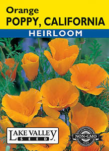 POPPY CALIFORNIA ORANGE  HEIRLOOM
