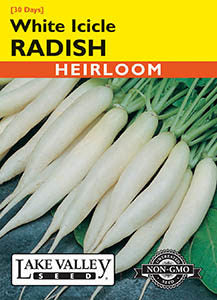 RADISH WHITE ICICLE   HEIRLOOM