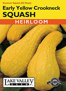 SQUASH SUMMER EARLY YELLOW CROOKNECK   HEIRLOOM