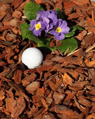 Bagged Pine Bark Mini Nuggets