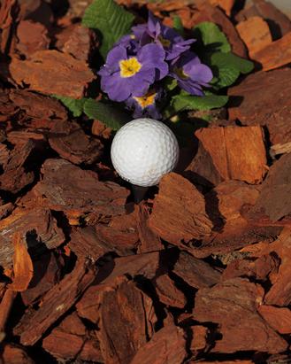 Bagged Pine Bark Nuggets