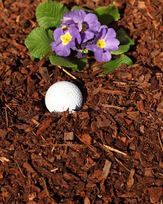 Bagged Pine Bark Mulch