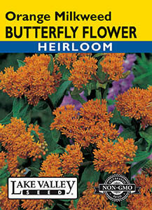 BUTTERFLY FLOWER ORANGE  HEIRLOOM