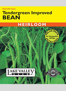 BEAN BUSH TENDERGREEN IMPROVED VP HEIRLOOM