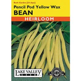 BEAN BUSH PENCIL POD YELLOW WAX  HEIRLOOM