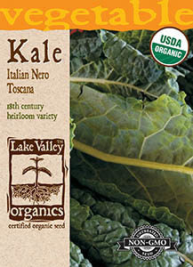 ORGANIC KALE ITALIAN NERO TOSCANA   HEIRLOOM