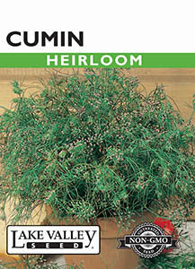 CUMIN HEIRLOOM