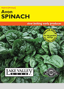 SPINACH AVON HYBRID VP