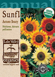 ORGANIC SUNFLOWER AUTUMN BEAUTY MIXED COLORS
