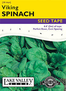 SEED TAPE - SPINACH VIKING