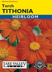 TITHONIA TORCH (MEXICAN SUNFLOWER) HEIRLOOM