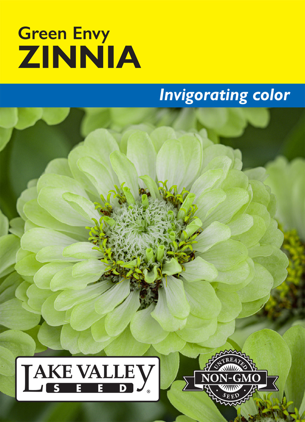 ZINNIA GREEN ENVY