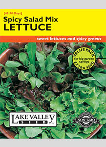 LETTUCE SPICY SALAD MIX VP