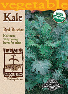 ORGANIC KALE RED RUSSIAN  HEIRLOOM