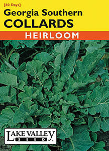 COLLARDS GEORGIA SOUTHERN  HEIRLOOM