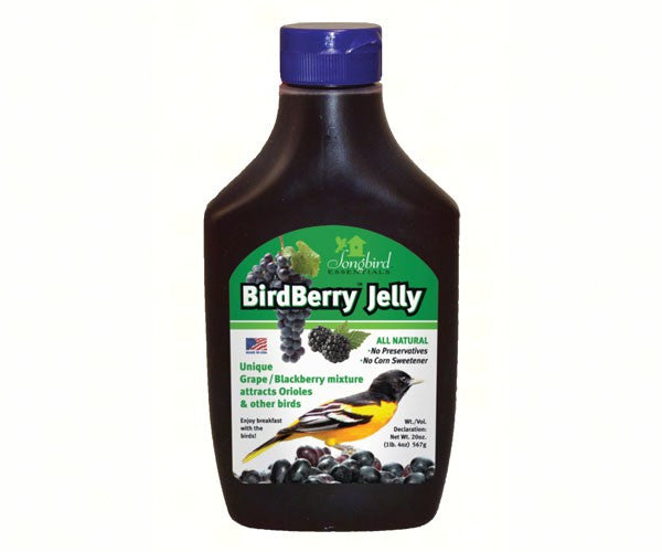BirdBerry Jelly