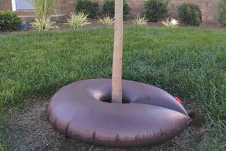 Dew Right Tree Watering Donut