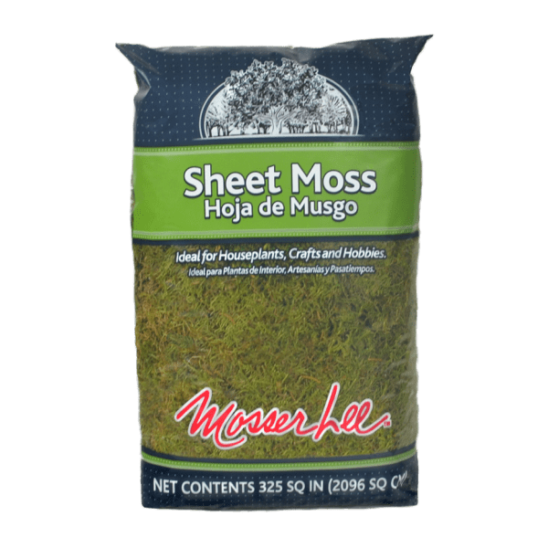 Sheet Moss Soil Cover
