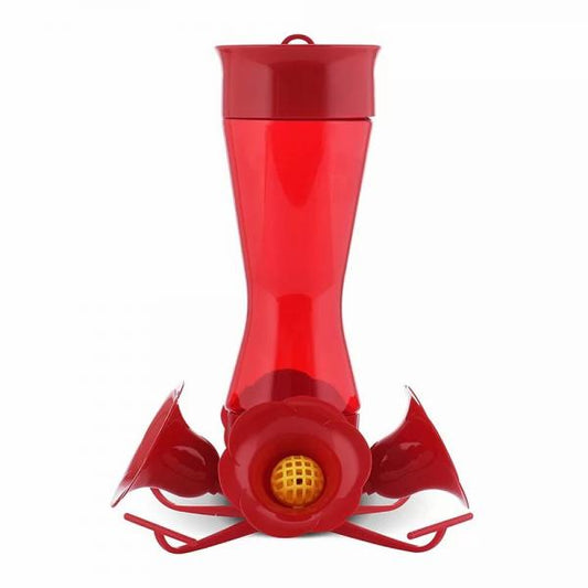 4 Fountain Hummingbird