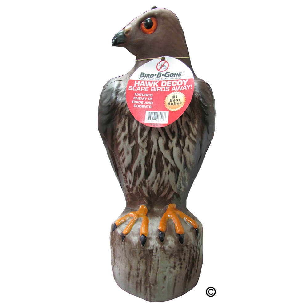 Bird-B-Gone Decoy Hawk