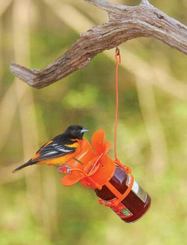 Jelly / Jam Fliteline Oriole Feeder