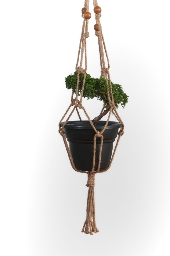 Macrame Plant Hanger