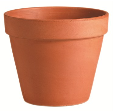 6.3" Terracotta Pot