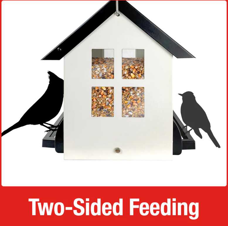 Squirrel Shield Hopper Bird Feeder