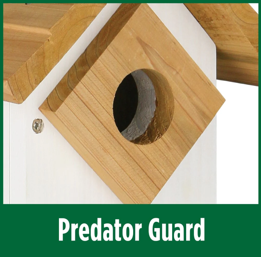 Farm House Bluebird House