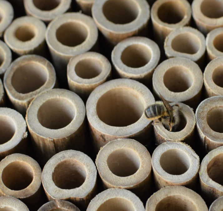 Farm House Bee Barn