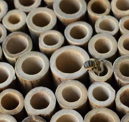 Farm House Bee Barn