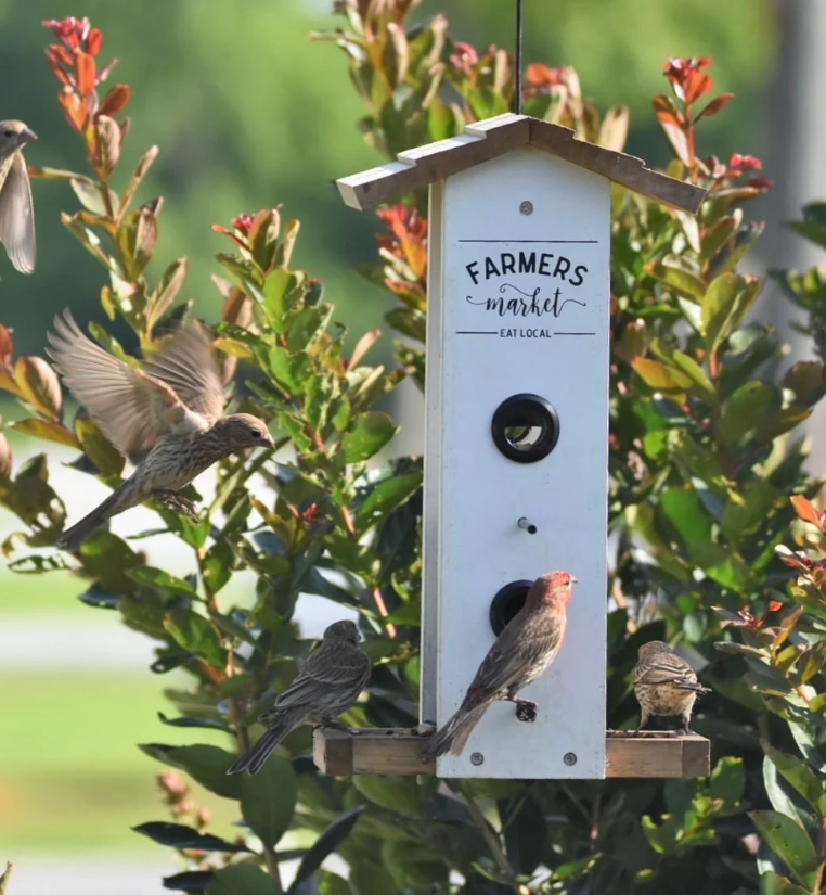 Farmer's Market Vertical Bird Feeder