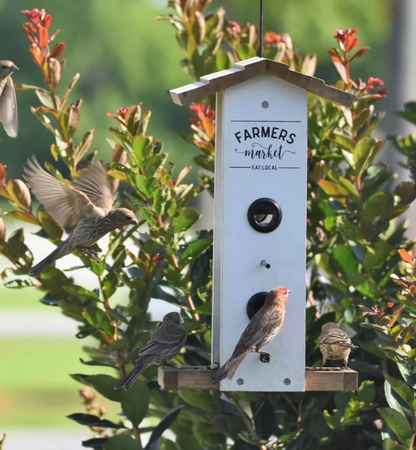 Farmer's Market Vertical Bird Feeder