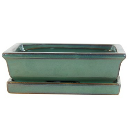 10" Bonsai Indoor Planter