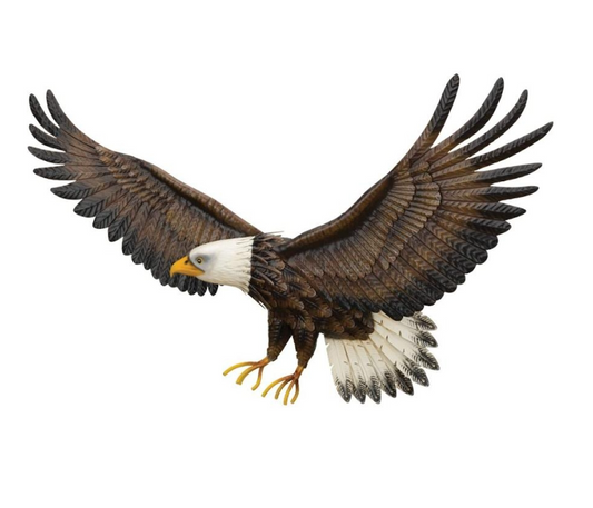 Eagle Wall Decor