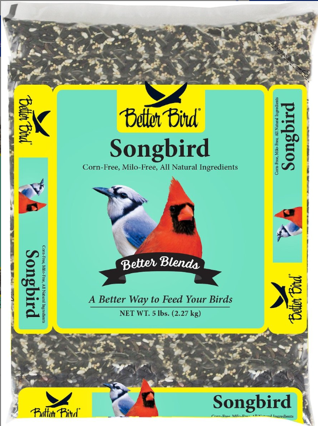 Better Bird Songbird