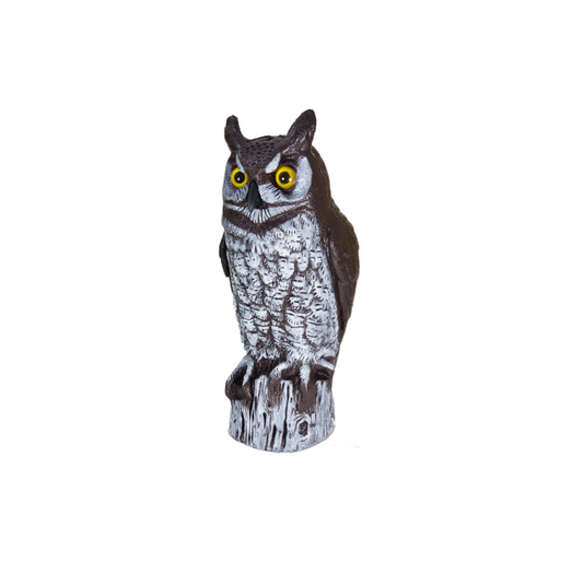 Great Horned Owl